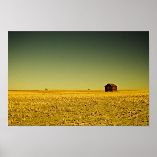 金の無い物 ポスター (正面)