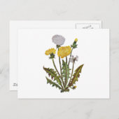 金の獅子の刺繍をしたダンディクレエル ポストカード (正面/裏面)