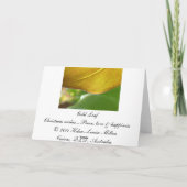 金ぱくのクリスマスカード シーズンカード (裏面)