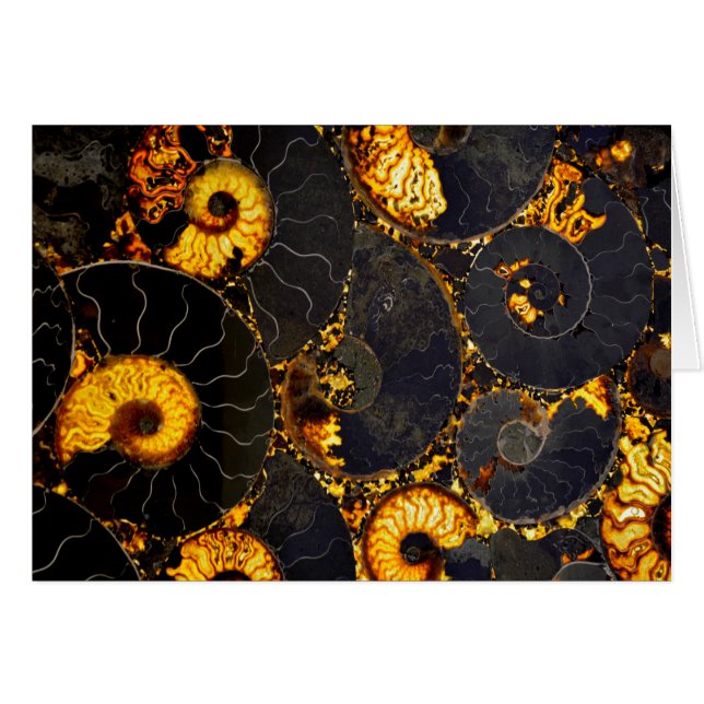 金エレガントのノーチラスデザイン (正面横)