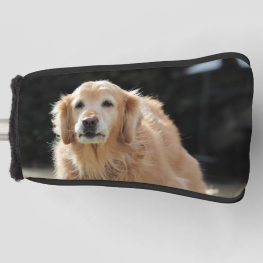 金オールディーズ ゴルフヘッドカバー (正面)