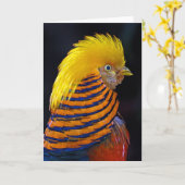 金キジのプリントの挨拶状 カード (黄色い花)