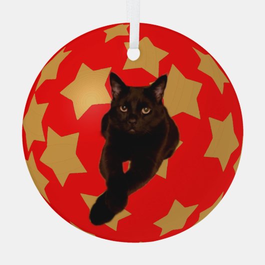 金ゴールドが赤で黒猫の写真を撮る ガラスオーナメント (裏面)