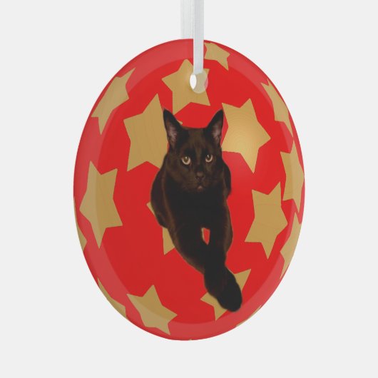金ゴールドが赤で黒猫の写真を撮る ガラスオーナメント (正面右)