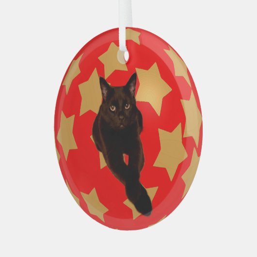 金ゴールドが赤で黒猫の写真を撮る ガラスオーナメント (正面左)