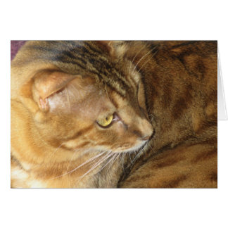 金ゴールドでKishkaきらびやか