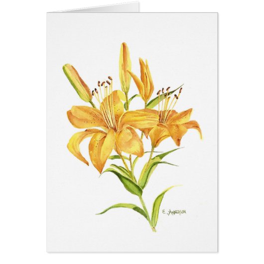 金ゴールドとオレンジのティガーリーの水色 (正面)