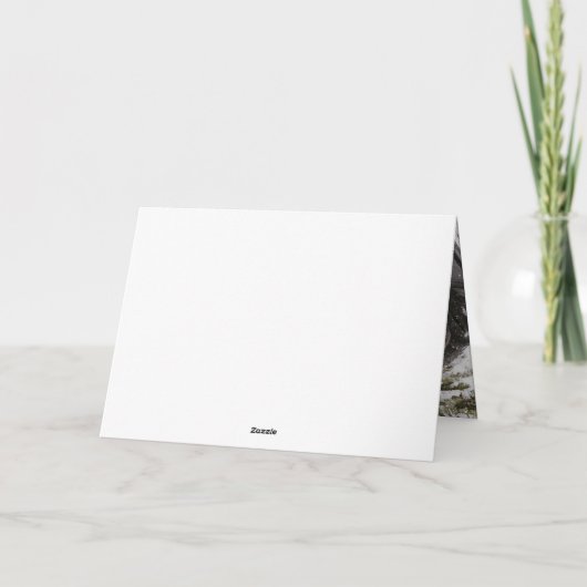 金ゴールドとテキサス州からの赤い暖かい願い カード (裏面)