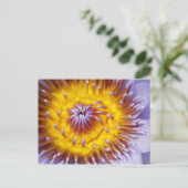 金ゴールドと紫のユリの花をクローズアップ ポストカード (スタンド正面)