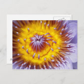 金ゴールドと紫のユリの花をクローズアップ ポストカード (正面/裏面)