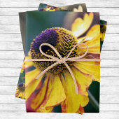 金ゴールドと紫色のヘレニウムの花のトリオ ラッピングペーパーシート