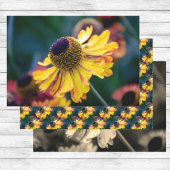 金ゴールドと紫色のヘレニウムの花のトリオ ラッピングペーパーシート