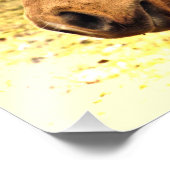 金ゴールドと茶色の馬Sun Animal Photoプリント フォトプリント (角)