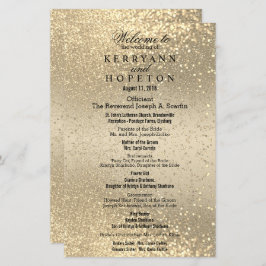 金ゴールドと金ゴールドグリッター – プログラム