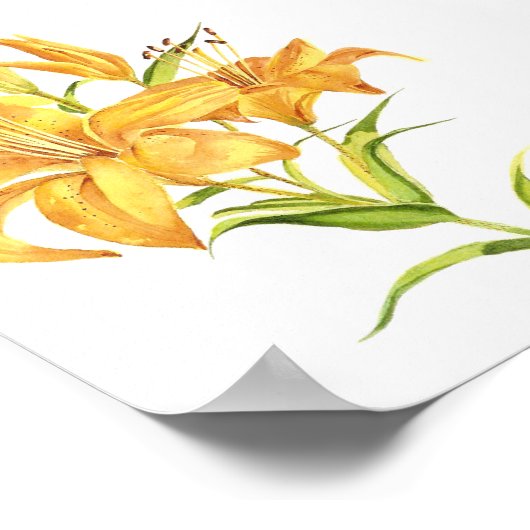 金ゴールドと黄色の水色のポスターのタイガーリリー ポスター (角)