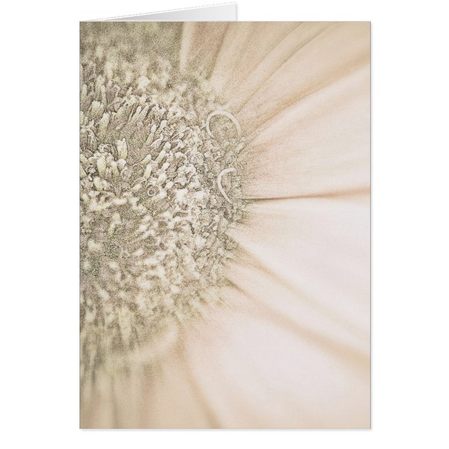 金ゴールドに衰退 (正面)