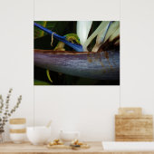 金ゴールドのダストデイゲッコの花 ポスター (キッチン)