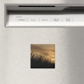 金ゴールドの空 マグネット (インサイチュ (食洗機))