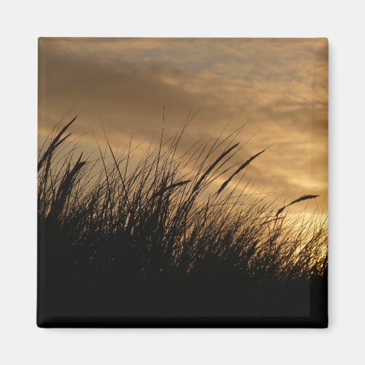 金ゴールドの空 マグネット (正面)