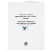 "金ゴールドの18の刃" (裏面)