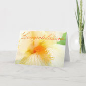 金ゴールドひげアイリス結婚ズおめでとうカード カード (正面)