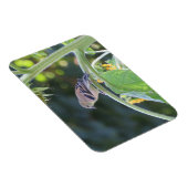 金ゴールドひまわり磁石の上のひでひし女性 マグネット (右側)