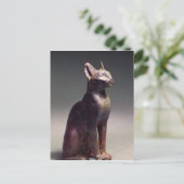 金ゴールドイヤリング付き猫の彫像 ポストカード (スタンド正面)