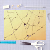 金ゴールドエレガントクモ 薄葉紙 (クラフト)