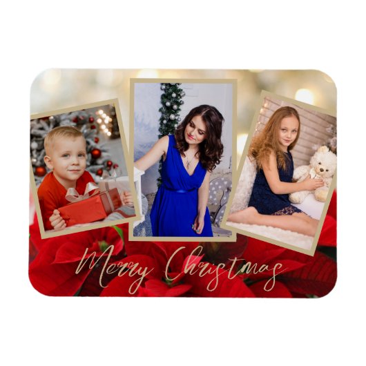 金ゴールドエレガントポインセチアMerry Christmas 3枚の写真 マグネット (横)