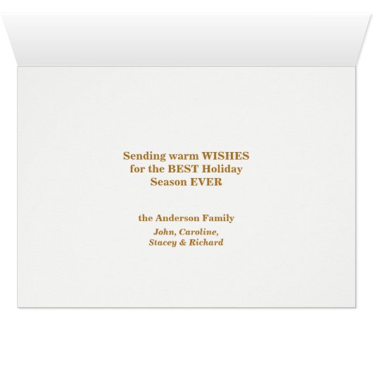 金ゴールドエレガントリボンスノーフレークバルブファミリーホリデー (内部横(下))