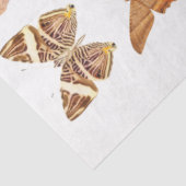 金ゴールドオレンジバタフライコレクションデカップージ 薄葉紙 (詳細)