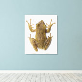 金ゴールドカエル キャンバスプリント (インサイチュ (ウッドフロア))