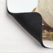 金ゴールドカエル マウスパッド (コーナー)