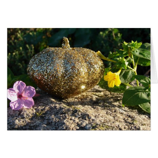 金ゴールドカボチャと四時花 (正面横)