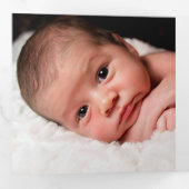 金ゴールドグリーンクリスマスリース3写真テンプレート 三つ折りクリスマスカード (内部最初)