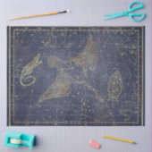 金ゴールドスターマップシリーズデザイン10 薄葉紙 (クラフト)