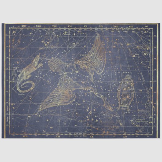 金ゴールドスターマップシリーズデザイン10 薄葉紙 (正面)