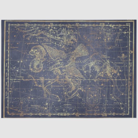 金ゴールドスターマップシリーズデザイン11 薄葉紙 (正面)