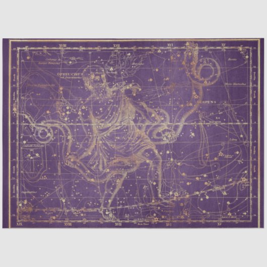 金ゴールドスターマップシリーズデザイン12 薄葉紙 (正面)