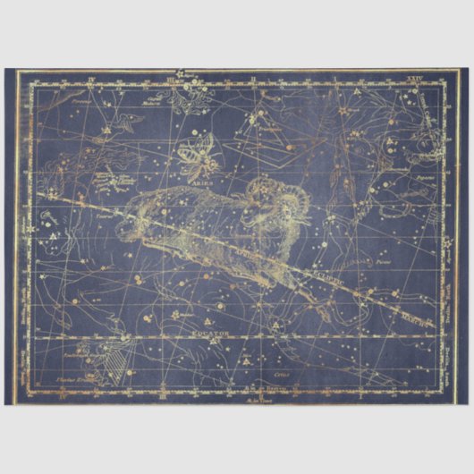 金ゴールドスターマップシリーズデザイン14 薄葉紙 (正面)