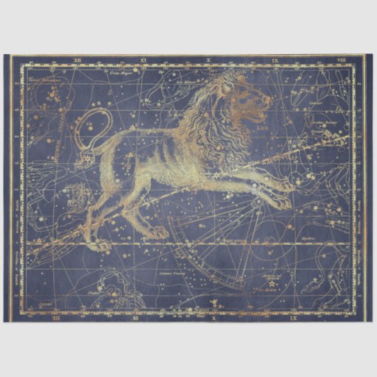 金ゴールドスターマップシリーズデザイン18 薄葉紙 (正面)