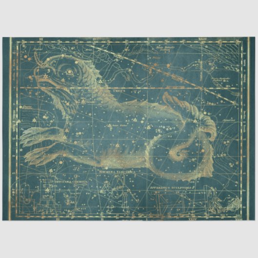 金ゴールドスターマップシリーズデザイン22 薄葉紙 (正面)