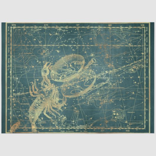 金ゴールドスターマップシリーズデザイン23 薄葉紙 (正面)