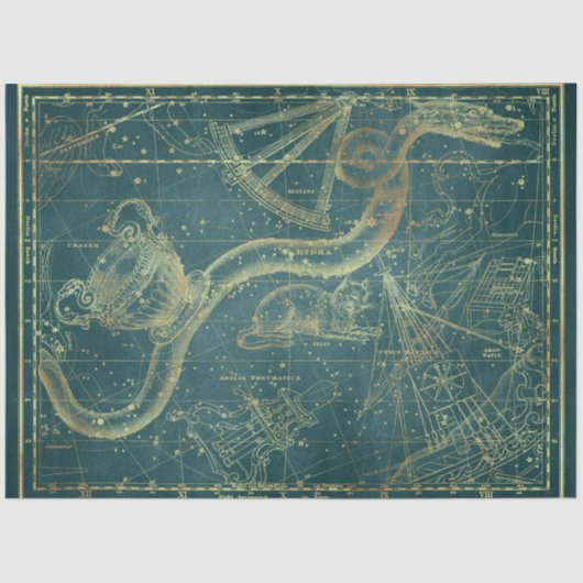 金ゴールドスターマップシリーズデザイン24 薄葉紙 (正面)