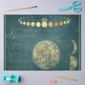 金ゴールドスターマップシリーズデザイン27 薄葉紙 (クラフト)