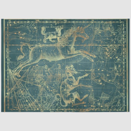 金ゴールドスターマップシリーズデザイン28 薄葉紙 (正面)