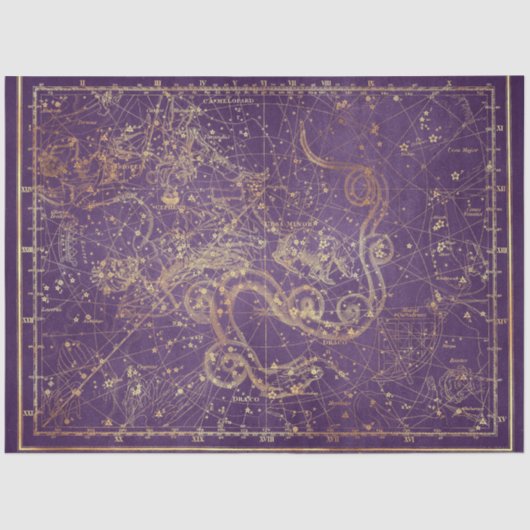 金ゴールドスターマップシリーズデザイン3 薄葉紙 (正面)