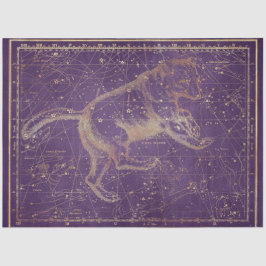 金ゴールドスターマップシリーズデザイン7 薄葉紙 (正面)