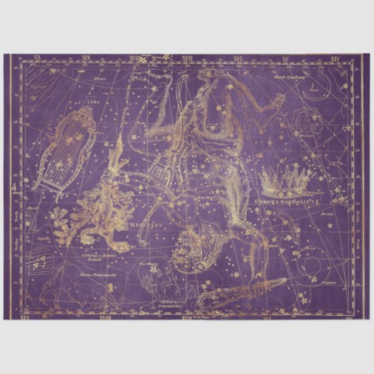 金ゴールドスターマップシリーズデザイン9 薄葉紙 (正面)