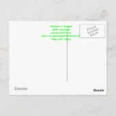 金ゴールドダストデイゲッコ ポストカード (裏面)